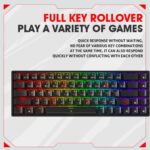 ⁦كيبورد قيمنق صغير - KEYBORD HALL A10 60% BLACK⁩ - الصورة ⁦2⁩