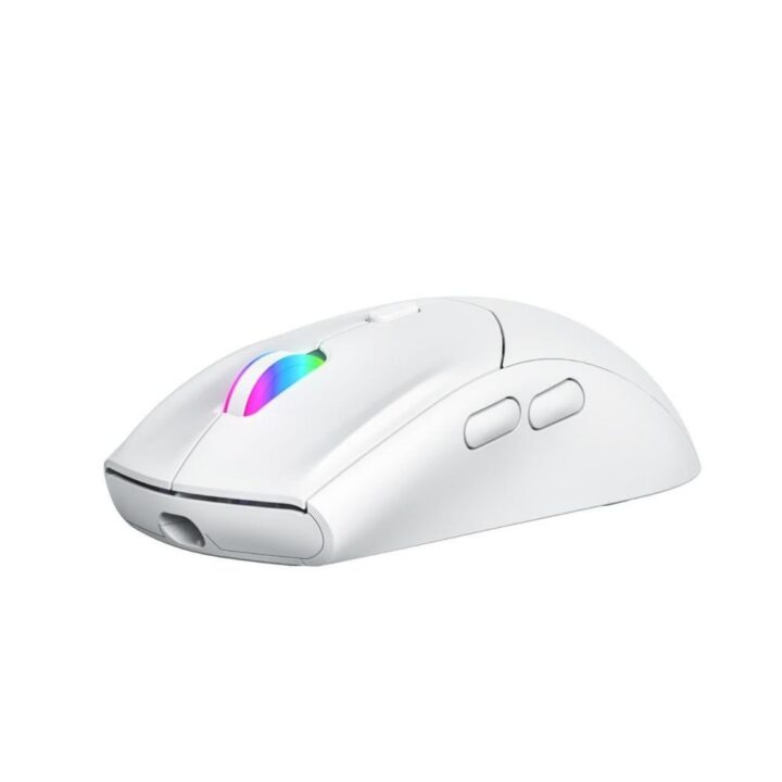 Wireless Mouse - ASA M95